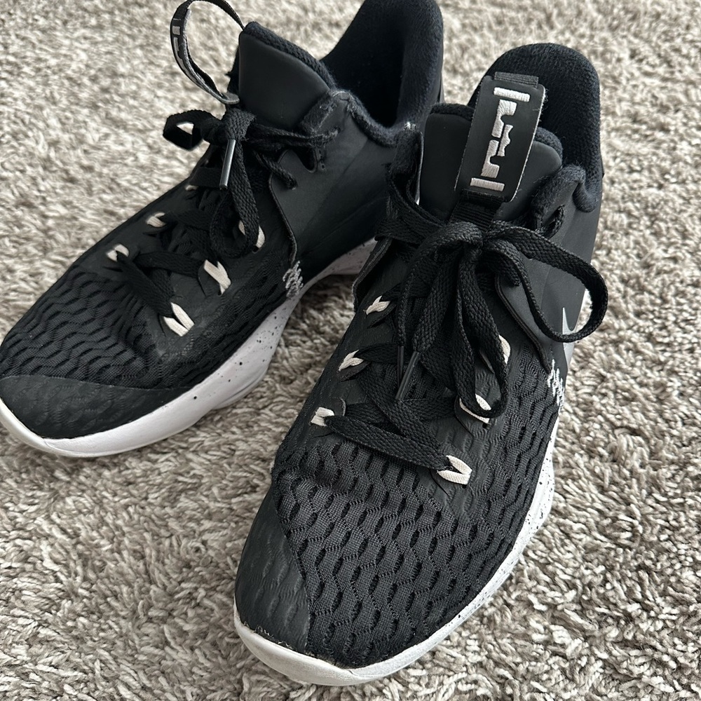 Nike Lebron Witness 5